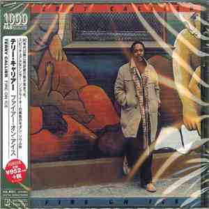 Terry Callier - Fire On Ice