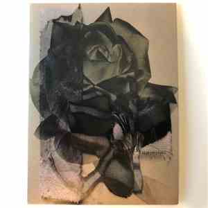 Damselfly - Beneath The Rose