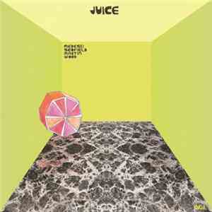 Medeski Scofield Martin & Wood - Juice