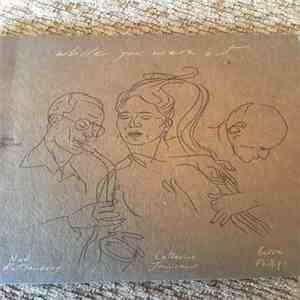 Ned Rothenberg, Catherine Jauniaux, Barre Phillips - While You Were Out