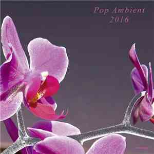 Various - Pop Ambient 2016