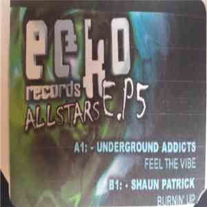 Shaun Patrick 'N' R.G.Z & Underground Addicts - Burning Up / Feel The Vibe