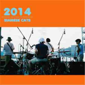 Siamese Cats - 2014