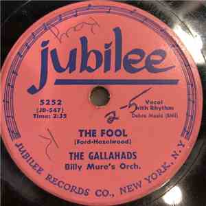 The Gallahads  - The Fool / The Morning Mail