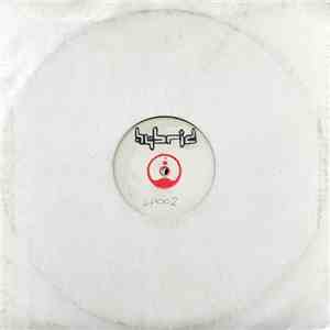 Yim - Man In Two Suitcases