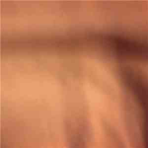 Leningrad Synthetic Orchestra - Excerpts (From A Larger Work)