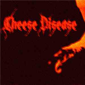 VIDEO HEAD CLEANER - Preventing The Cheese Disease