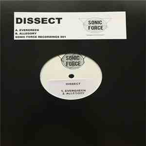 Dissect - Evergreen / Allegory