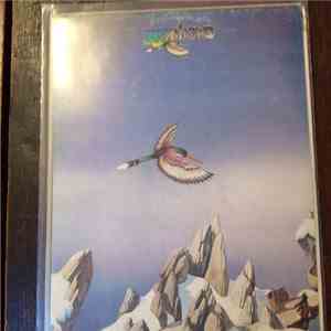 Yes - Yesshows