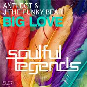 Anti.Dot & J The Funky Bear - Big Love
