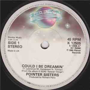Pointer Sisters - Could I Be Dreamin'