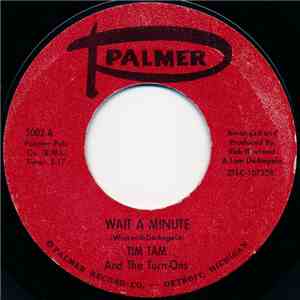 Tim Tam And The Turn-Ons - Wait A Minute