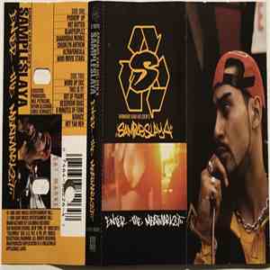 Armand Van Helden - Sampleslaya - Enter The Meatmarket