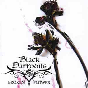 Black Daffodils - Broken Flower