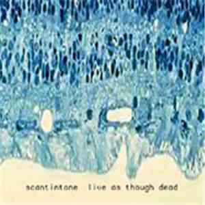 Scant Intone - Live As Though Dead