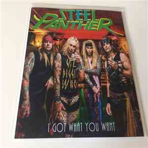 Steel Panther - I Got What You Want (Clean) Promo