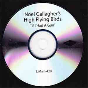 Noel Gallagher's High Flying Birds - If I Had A Gun...