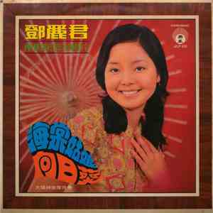 鄧麗君 - 南游纪念金唱片