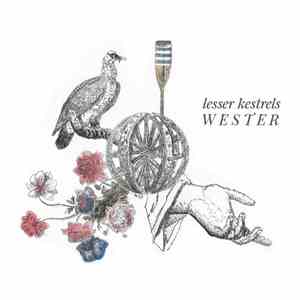 Lesser Kestrels - Wester