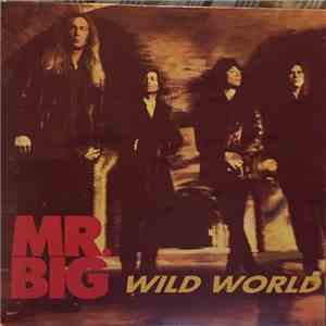 Mr. Big - Wild World