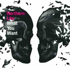 Northern Lite - What You Want