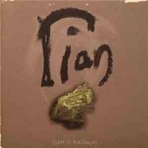 Liam Ó Maonlaí - Rian