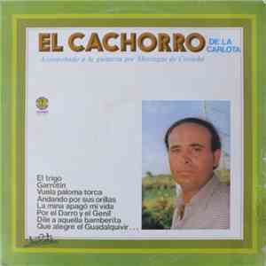 El Cachorro De La Carlota - El Cachorro De La Carlota