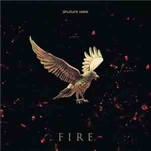 Phuture Noize - Fire