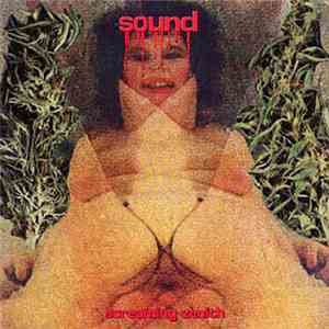 Sound - Screaming Zenith