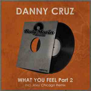 Danny Cruz - What You Feel Part 2