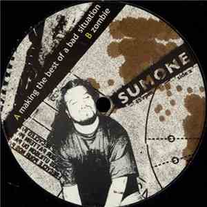 Sumone - Making The Best Of A Bad Situation