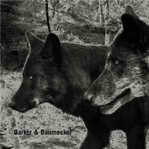 Barker & Baumecker - Transsektoral