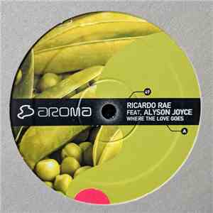 Ricardo Rae Feat. Alyson Joyce - Where The Love Goes