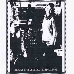 MV / EE - Red Head Transistor