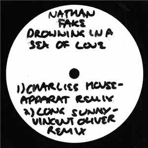 Nathan Fake - Drowning In A Sea Of Remixes