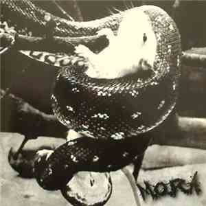 M.O.R.A. - M.O.R.A.