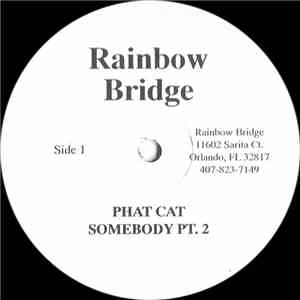 Rainbow Bridge - Phat Cat