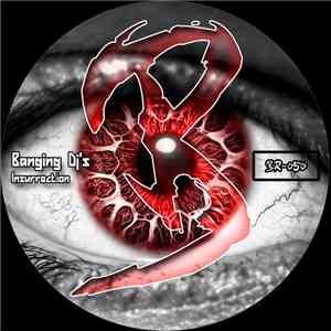 Banging Dj's - Insurrection