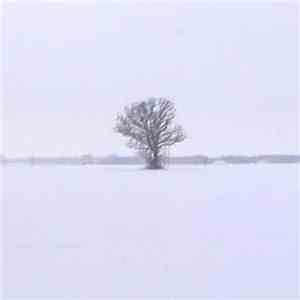 Final Seed - Final Seed