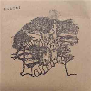 Hiss Golden Messenger - 042207