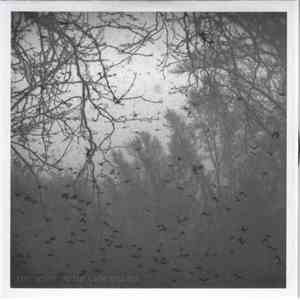 Left Alone... - As The Birds Still Fly