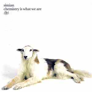 Simian - Chemistry Is What We Are