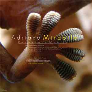 Adriano Mirabile feat. Zeno Tornado - Perpetuum Mobile