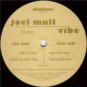 Joel Mull - Vibe