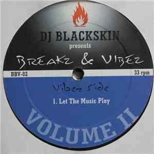 Dj Blackskin - Breakz & Vibez Vol. 2