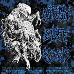 Intestinal Alien Reflux / Cuff  / Aborning - Entwined Human Remnants