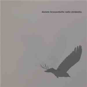 Daniele Brusaschetto - Radio Stridentia