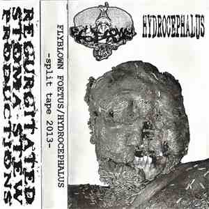 Flyblown Foetus / Hydrocephalus - Split Tape 2013