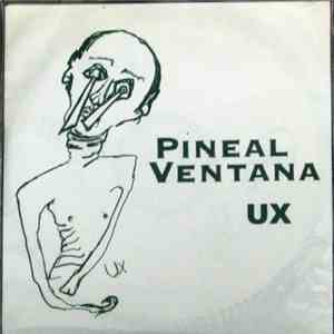 Pineal Ventana - UX