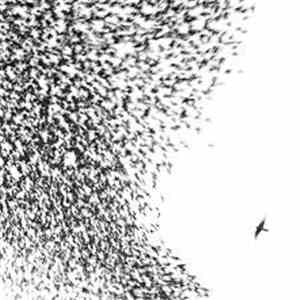 Wilco - Sky Blue Sky